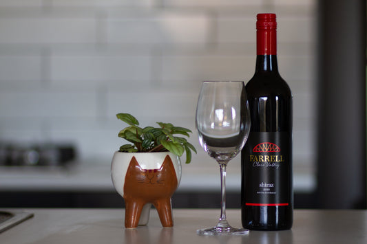 Winter among the vines