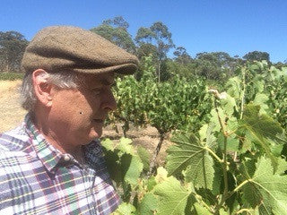 Its a new year, but no holiday in the vineyard