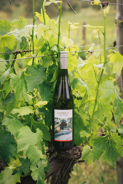 Spring Riesling Pack